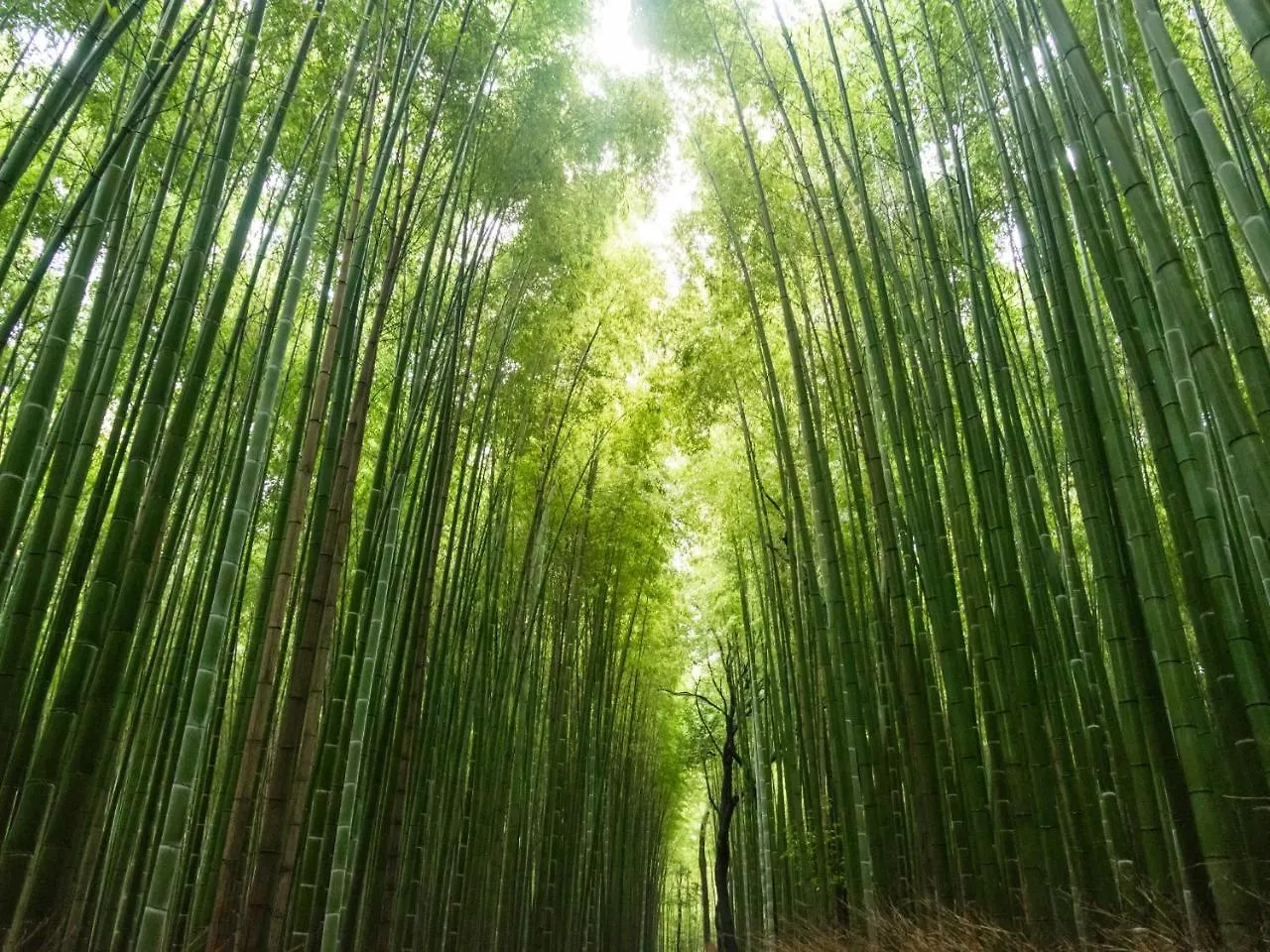Sumitei Kiyomizu Gojo Hotel Kyoto